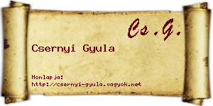 Csernyi Gyula névjegykártya